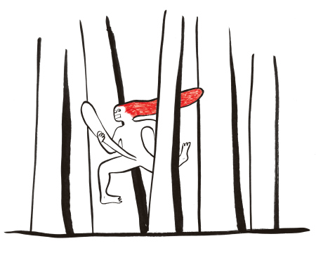 nua_curupira com arvores