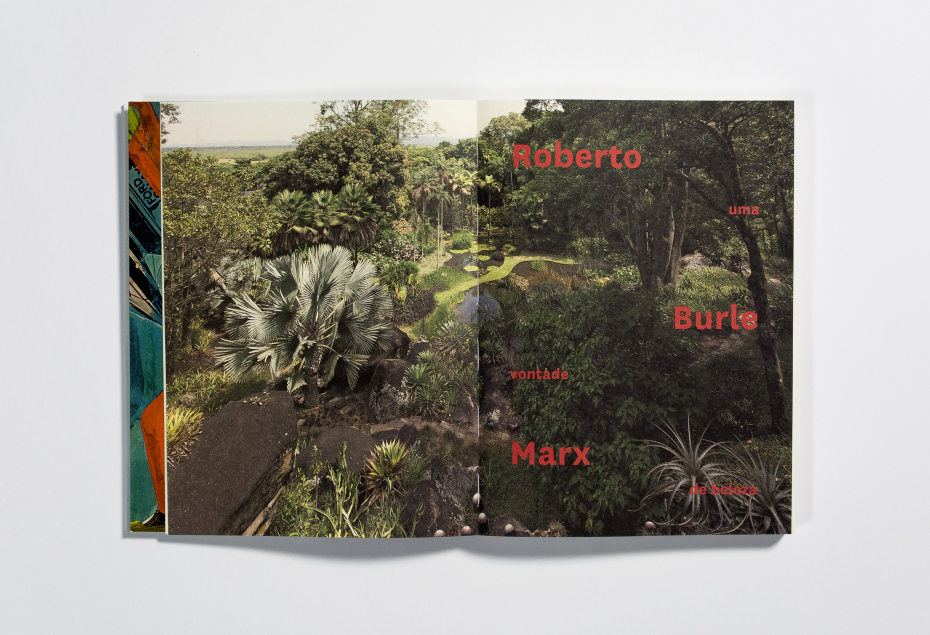 pinacoteca-burlemarx_0004