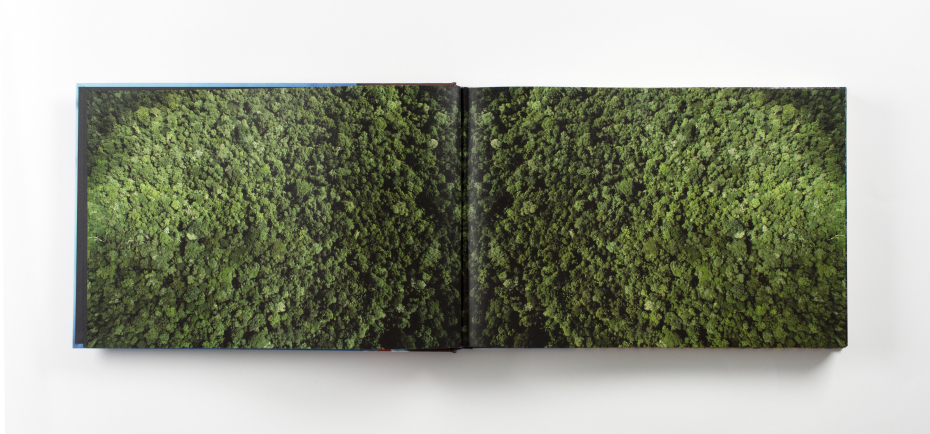 sesc_joaofarkas_amazoniaocupada_02