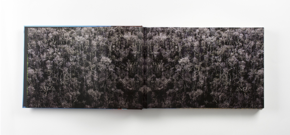 sesc_joaofarkas_amazoniaocupada_03