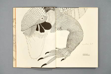 TerraPapagaLorum6194