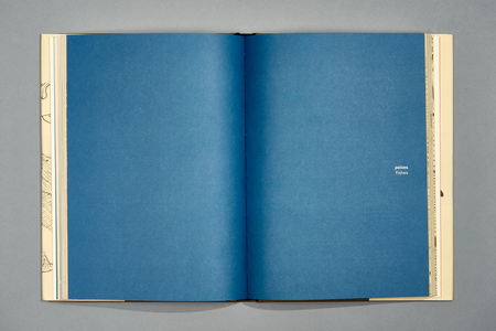 TerraPapagaLorum6198