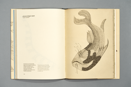 TerraPapagaLorum6199